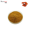 Pure Herbal Medicine Anti Cancer Ganoderma Extract Reishi Mushroom Powder